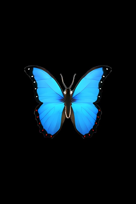 Blue Butterfly Emoji, Butterfly Emoji, Butterfly On A Flower, Emoji Tattoo, Borboleta Tattoo, Phone Emoji, Butterfly Tshirt, Apple Emojis, Emojis Iphone