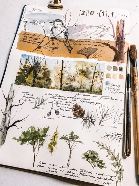 Forest Journal Ideas, Moleskine Aesthetic, Botanist Aesthetic, Moleskine Drawing, Nature Sketching, Forest Journal, Nature Sketchbook, Botanical Sketchbook, Nature Journals