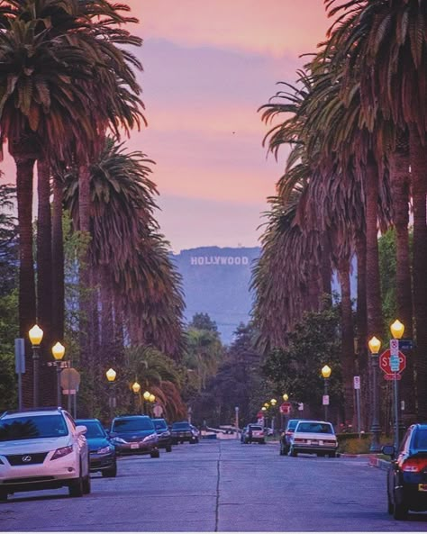 California Aesthetic Wallpaper, Cali Aesthetic, 80's Aesthetic, Hawaii Vibes, La Aesthetic, Los Angeles Aesthetic, Hollywood Aesthetic, Cali Vibes, California Aesthetic