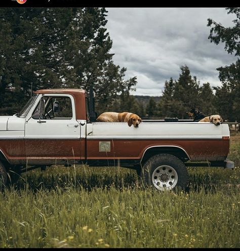 Vintage Ford Truck Aesthetic, Vintage Trucks Aesthetic, Old Pickup Truck Aesthetic, Old Country Trucks, Country Vintage Aesthetic, Cute Trucks, Ford Truck Aesthetic, Pick Up Truck Aesthetic, Aesthetic Trucks