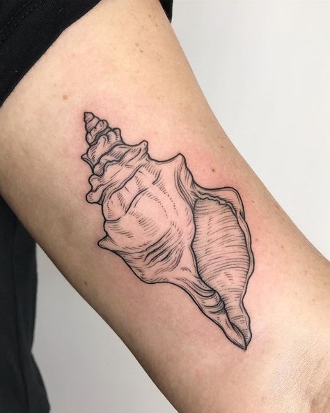 Crispy Francis on Instagram: “A conch shell! This was fun and different.” Ocean Sleeve Tattoos, Ocean Sleeve, Shell Tattoo, Seashell Tattoos, Shell Tattoos, Ocean Tattoo, Petit Tattoo, Sea Tattoo, Ocean Tattoos