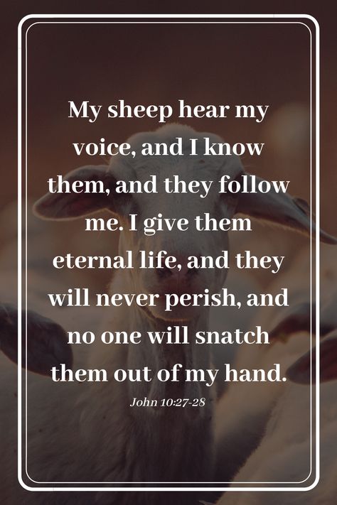 My Sheep Know My Voice, John 10:27-28, Good Morning Lord, My Sheep Hear My Voice, John 10 27, Warriors Of God, Verses To Remember, John 10, Pictures Of Christ