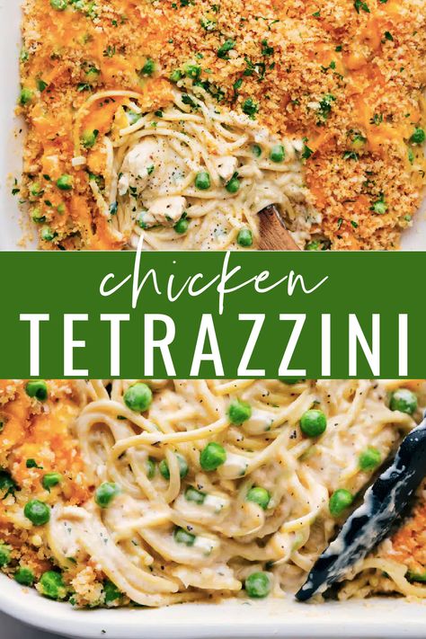 This Chicken Tetrazzini is pure comfort food, with a creamy, irresistible cheese sauce coating seasoned chicken and tender spaghetti. #dinner #quick #easy #simple #comfortfood #cheesy #chicken #tetrazzini Chicken Tetrazzini With Cream Cheese, Rotisserie Chicken Tetrazzini Recipes, Rotisserie Chicken Tetrazzini, Chicken Tetrazinni Recipe, Italian Chicken Spaghetti Recipe, Chicken Tezzarini Recipe, Chicken Tetrazzini Recipes Easy, Chicken Terrizani Casserole, Chicken Tretazzini Recipe