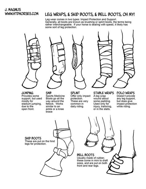 Tack - How to Draw Horses Horse Tack Knowledge, Horse Tack Drawing, 4h Horse Poster Ideas, How To Tack Up A Horse English, Tacking Up A Horse, Cute Horse Tack, Bits For Horses, How To Draw Horses, Dressage Tack