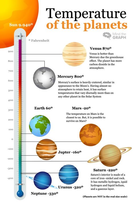 Solar System Size, Solar System Facts, Solar System Projects For Kids, Solar System Activities, Solar System For Kids, Solar System Projects, Astronomy Facts, Other Planets, Space Facts