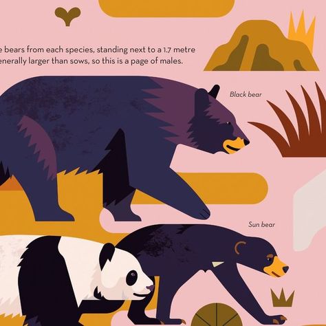 Owen Davey on Instagram: "Brainy About Bears is my most recent book with @flyingeyebooks - I've been super busy lately and haven't been posting much, so here are a few more spreads from the book  #bears #bear #illustration #biology #artwork #art #digitalart #vectorart #digitalillustration #vectorillustration #panda #blackbear #brownbear #grizzly #grizzlybear #kidlit #childrenillustration #informationbooks #nonfiction #science #polarbear" Owen Davey Illustration, Owen Davey, Bear Illustration, Super Busy, August 20, Grizzly Bear, Black Bear, Brown Bear, Children Illustration