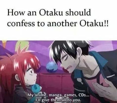 Otaku Problems, Blood Lad, Otaku Issues, Anime Fandom, Anime Jokes, Anime Memes Funny, Memes Anime, Anime Meme, I Love Anime