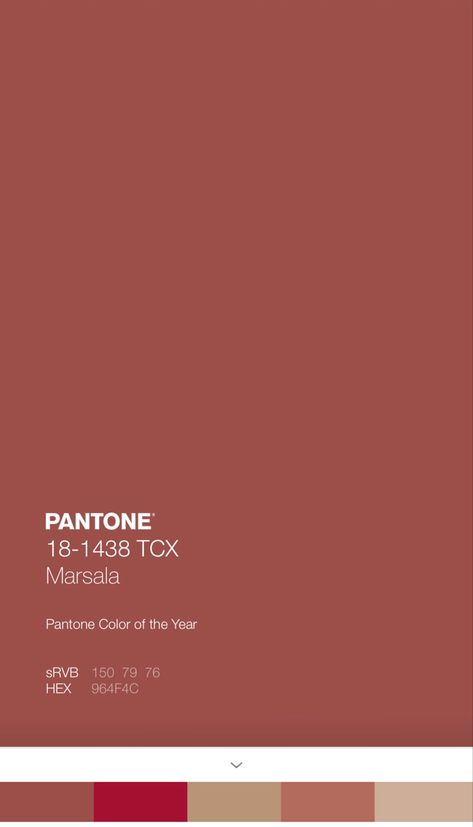 Pantone Colors 2024, Astro Dust Color, Astro Dust, Colors Pallets, Pantone Color Guide, Mood 2024, Pantone Trends, Pantone Colours, Colour Mood