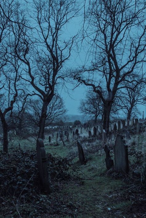 Goth Aesthetic Wallpaper, Old Cemetery, Dark Aesthetics, Dark Pictures, Halloween Illustration, Gothic Aesthetic, Fantasy City, Fantasy Places, Tree Illustration