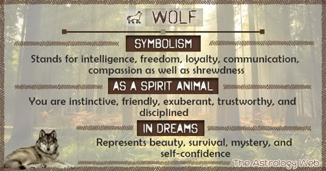 Wolf spirit animal meaning (white, black, lone wolf), what does it mean to dream of a wolf, its symbolism in different cultures (Native American, Japanese) Wolf Symbolism Meaning, Black Wolf Spirit Animal Meaning, Wolf Spiritual Meaning, Wolf Spirit Animal Meaning, Wolf Meaning, Spirit Animal Wolf, Wolf Symbolism, Wolf Tattoo Meaning, Spirit Animal Meaning