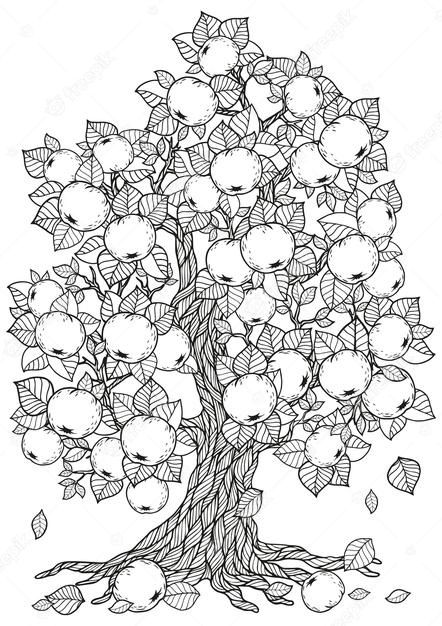 Apple Tree Drawing, Drawing Coloring Pages, Vector Doodle, Book Tree, Tree Sketches, Tree Coloring Page, Zen Doodle Art, Adult Colouring Pages, Blossom Tree