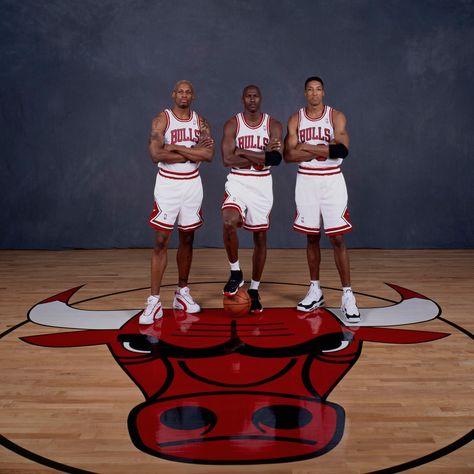 90s Mood Board, Dennis Rodman Bulls, Aesthetic Nba, Jordan Pictures, Bulls Wallpaper, Michael Jordan Art, Jordan Art, Jeffrey Jordan, Michael Jordan Photos