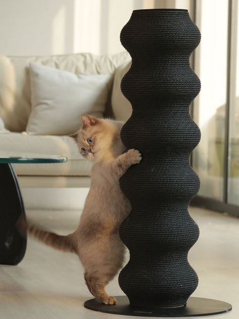 Indulge your feline friend with the Colossal Curvy Clawer - a stunning cat scratching post that blends form and function. Its elegant curves and stylish design make it a beautiful addition to any home. Modern Cat Scratcher, Home Decor For Cats, Diy Cat Scratcher Post, Diy Cat Post, Diy Scratching Post For Cats, Catification Ideas Diy, Cat Apartment Ideas, Cat Scratching Wall, Aesthetic Cat Tree