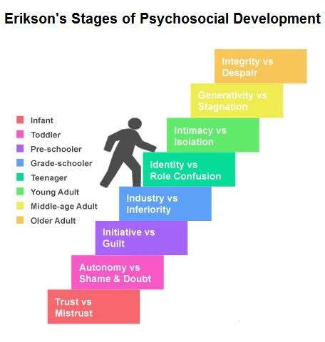 The Lifespan Development Perspective of Erik Erikson and Daniel Levinson - HubPages Erikson Stages, Stages Of Psychosocial Development, Lifespan Development, Child Development Chart, Psychosocial Development, Erik Erikson, Child Development Theories, Child Development Stages, Social Identity