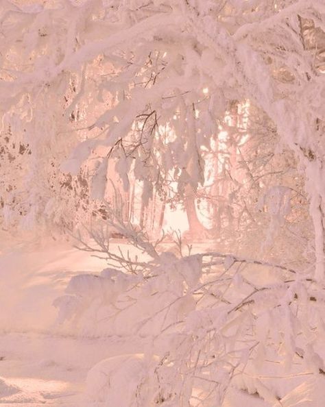 Simple breathtaking. .•:* ❄ *:•. Snowy Places, Cottage Photography, Winter Pics, Winter Woods, Breathtaking Photography, Winter Princess, Pink Xmas, Pink Snow, Creepy Pictures