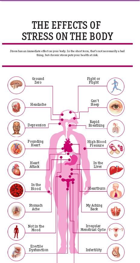 Healthline just published an infographic detailing the effects of stress on the body. Description from pogophysio.com.au. I searched for this on bing.com/images Heart Pressure, Irregular Menstrual Cycle, Body Aches, Psychological Effects, Sugar Diet, Blood Sugar Diet, Low Blood Sugar, Body Ache, High Blood Sugar