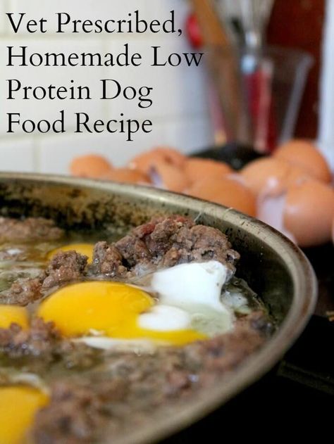 Low Protein Dog Food, Dog Food Homemade, Beef Food Recipes, Pet Recipes, Homemade Cat Food, Dog Food Recipe, Make Dog Food, Diy Dog Food, Dog Food Treats