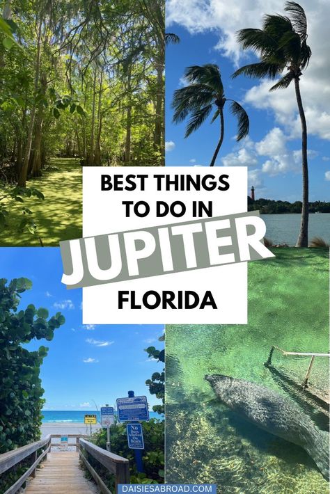 A COMPLETE TRAVEL GUIDE TO JUPITER, FLORIDA Things To Do In Florida, Florida Attractions, Clearwater Beach Florida, Florida Travel Guide, Florida Adventures, Florida Destinations, Clearwater Florida, Visit Florida, Clearwater Beach