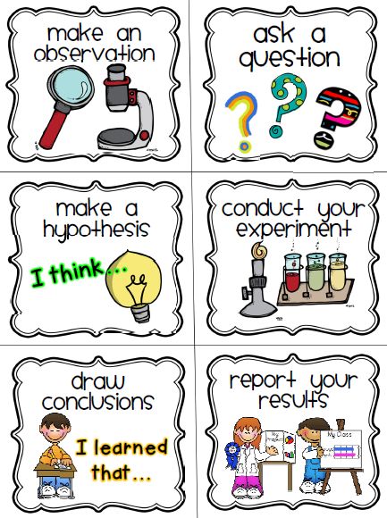 scientific process for kids | Classroom Freebies: Scientific Method Cards Scientific Method For Kids, Scientific Method Steps, Scientific Method Posters, Scientific Method Worksheet, Kid Science, The Scientific Method, First Grade Science, Primary Science, 4th Grade Science