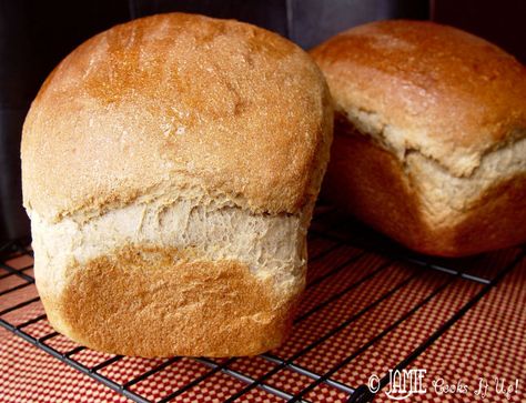 Soup Meatball, Homemade Whole Wheat Bread, Crispy Cheddar Chicken, Meatball Marinara, Beef Enchilada, Won Ton, Wheat Bread Recipe, Mixer Recipes, Loaves Of Bread