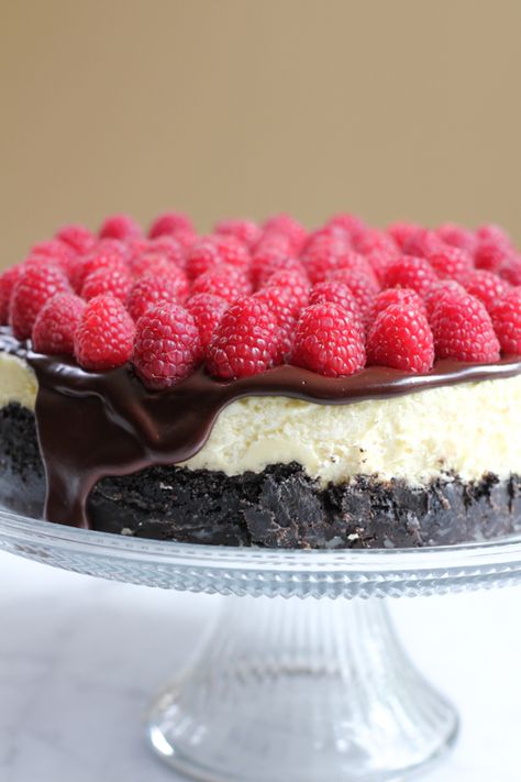 Rich, raspberry cheesecake with Oreo cookie crust and topped with a delicious chocolate ganache and topped with fresh raspberries. Doesn't get any better than this! #cheesecake Cheesecake With Oreo Crust, Oreo Crust Cheesecake, Oreo Cookie Crust, Brownie Desserts, Oreo Crust, Oreo Dessert, Raspberry Cheesecake, Oreo Cookie, Cookie Crust