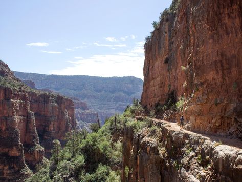 North Kaibab Trail, Grand Canyon AZ: Stunning day hike to Roaring Spring Arizona Spa, Grand Canyon Trip, Trip To Grand Canyon, Water Station, Colorado River, The Far Side, Grand Canyon National Park, Trail Maps, Hiking Trail