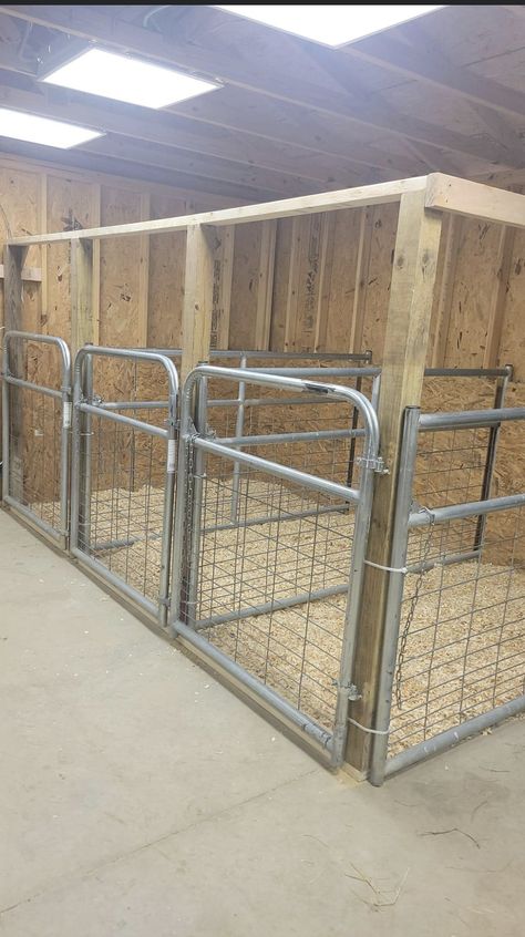 Pig Pens Ideas Shelters, Meat Pig Pen Ideas, Goat Pen Layout, Animal Sheds Ideas, Lamb Stall Ideas, Goat Jungle Gym Diy, Lamb House Ideas, Cattle Shed Ideas, Sheep Pens Ideas