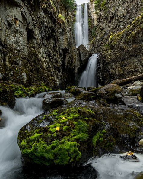 Mystic Falls – Telluride, CO | Hiking Trail to Waterfall Waterfalls To Visit, A Short Hike, Mystic Falls, Hiking Trail, Beautiful Sights, National Forest, Hiking Trails, Hiking, Forest