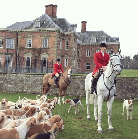 English Style Decor, British Elegance, British Country Style, British Aesthetic, Fox Hunter, Classic Academia, Glam Pad, Fox Hunt, Country Aesthetic