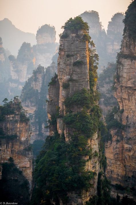 Chinese Forest, Chinese Nature, Zhangjiajie National Forest Park, Travel Desk, Chinese Mountains, Mountain Trees, Mountain Vibes, Mountain Landscape Photography, Huangshan