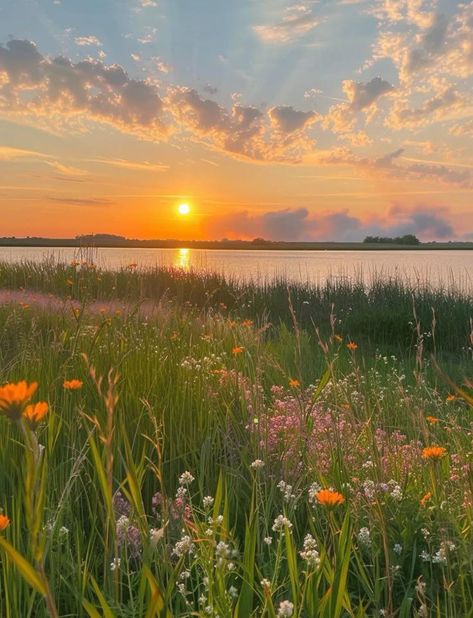 Spring Aesthetic Sunset, Asthetic Picture Landscape, Spring Aesthetic Landscape, Peaceful Lake Aesthetic, National Park Landscapes, Landscape Photography Nature Forests, Medow Photo Aesthetic, Summer Asethic Photos, Aesthetic Wallpaper Cottagecore