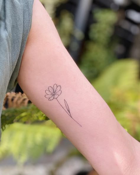 STICKS NOT STONES LONDON on Instagram: “Healed cosmo 💕 •” Simple Cosmos Tattoo, Cosmos Tattoo Flower, Cosmo Tattoo Flower, Cosmo Flower Tattoo, Cosmo Tattoo, Margarita Flower, Cosmos Tattoo, Daisy Flower Tattoos, Line Drawing Tattoos