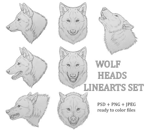 Head Reference Front View, Wolf Head Reference, Head Art Reference, Reference Front View, Wolf Growling, Wolf Head Drawing, Werewolf Drawing, Red Riding Hood Art, Head Reference