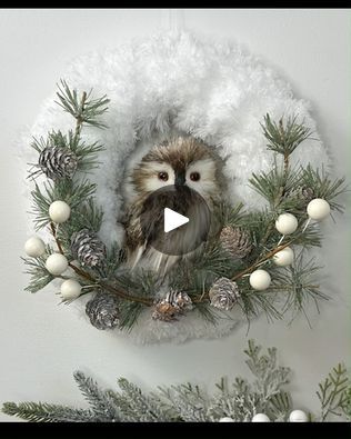 14K views · 502 reactions | Dollar Tree Christmas Owl Wreath DIY | Sharing a beautiful owl wreath that you can keep up through winter. #christmaswreath #owlwreath #winterwreath #dollartreechristmas | By Country Lily Decor | This project, you'll need two
of Dollar Tree's microfiber duster mop pads. If you pull
the fibers back, you can see where they are sewn to the pad.
We're going to cut this right in the middle directly in half
but you don't want to cut where the fibers are sewn on there.
You could then take that section, separate it, and cut
those in half to make four strips but I used two of the
mop pads because I wanted my wreath to be nice and fluffy.
We're going to use one of Dollar Tree's smallest wired
wreath forms that come two in a pack and on the backside of the
wreath form, we' Christmas Owl Wreath, Lily Decor, Microfiber Duster, Owl Wreath, Butterfly Wreath, Owl Wreaths, Dollar Tree Christmas, White Wreath, Mop Pads