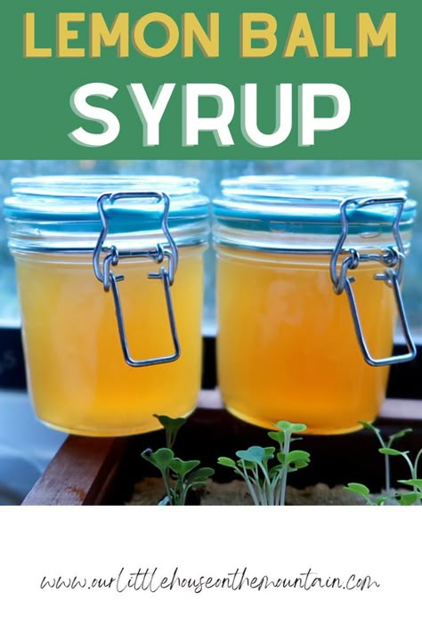 Lemon Balm Syrup Lemon Balm Uses, Lemon Balm Recipes, Homemade Cough Remedies, Herbal Medicine Recipes, Herbal Remedies Recipes, Medicinal Herbs Garden, Ginger Syrup, Elderberry Syrup, Herb Recipes