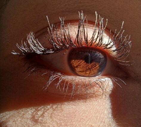 #brown#eyes#eye#dark#sun Lemon Eyes, Pretty Eyes Color, Honey Eyes, Brown Eyes Aesthetic, Pretty Brown Eyes, Dark Sun, Amber Eyes, Beautiful Brown Eyes, Doe Eyes