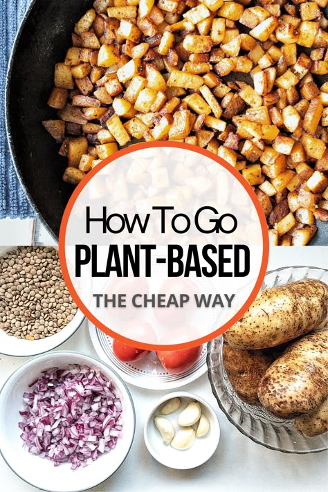 Plant Based And Vegan Recipes, Plant Based Diet On A Budget, Easy Cheap Plant Based Meals, Plant Based Recipes On A Budget, How To Eat Plant Based Diet, How To Go Plant Based, Plant Based Easy Recipes, Cheap Plant Based Meals Budget, Plant Based Diet For Beginners Recipes