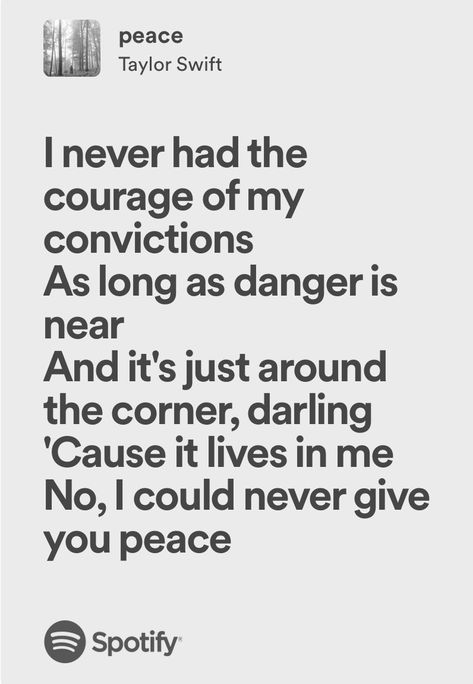 Peace Taylor Swift Lyrics, Peace Taylor Swift, Taylor Swift Lyrics Journal, Lyrics Journal, Real Lyrics, Taylor Swif, Green Flag, Queen Taylor Swift, Swift Lyrics