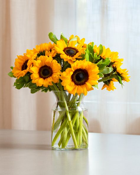 Bucket Flowers, French Flower Bucket, Winter Bouquets, Birthday Flower Delivery, Ftd Flowers, Fresh Floral Arrangements, Flowers Winter, Winter Florals, Sunflower Arrangements