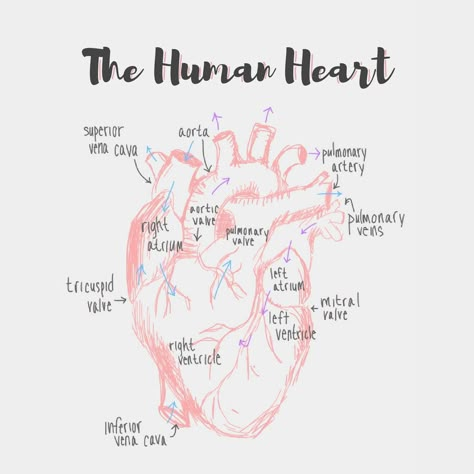 Medical Heart Aesthetic, Professions Aesthetic, Medschool Aesthetic, Pink Grey Aesthetic, Nursing Wallpaper, Cardiothoracic Surgery, Medical School Life, Nursing School Motivation, Studying Motivation