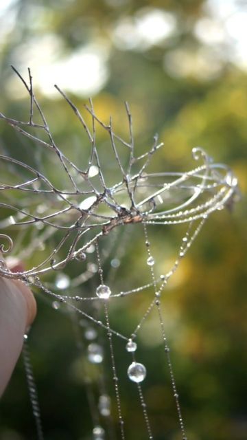 Elvish Tiara Wedding, Elven Tiara, Fairy Bride Tiara, Elven Circlet, Wedding Woodland Tiara, Woodland Tiara, Wedding Circlet, Perfect Model, Wild Child