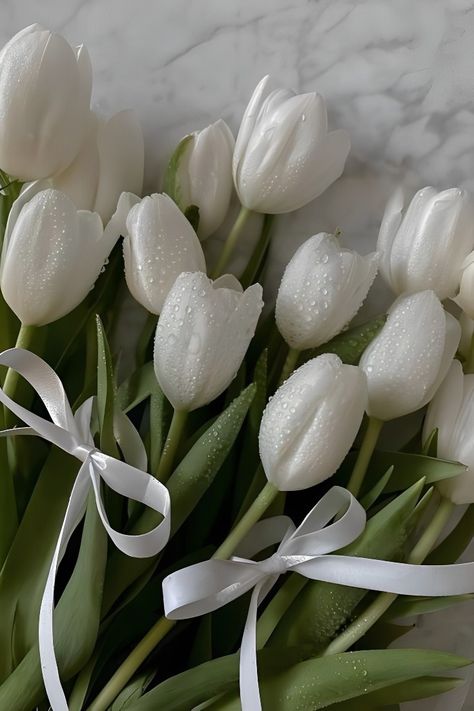 Tulip Flower Pictures, Girly Vibes, White Backgrounds, Royal Aesthetic, Boquette Flowers, Aesthetic Flower, Tulip Bouquet, Aesthetic Flowers, Nothing But Flowers