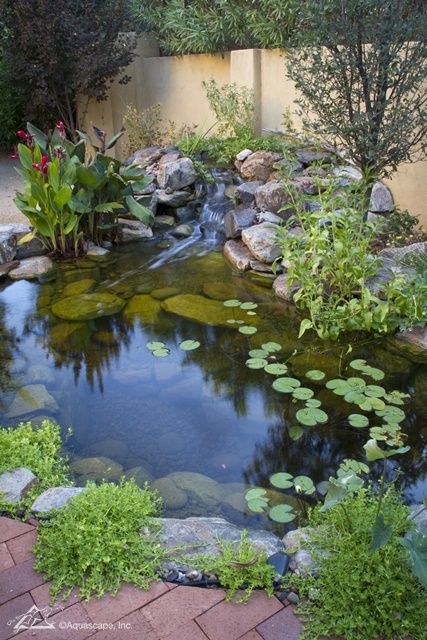 Waterfall Ideas For Ponds, Pond Sitting Area, Garden Ponds Ideas, Long Narrow Koi Pond, Japanese Garden With Koi Pond, Ecosystem Pond, Large Koi Pond, Pond Habitat, Big Koi Pond