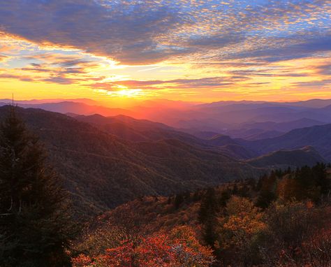 Blue Ridge Mountains Georgia, Blue Ridge Mountains Virginia, Blue Ridge Mountains North Carolina, Pennsylvania Mountains, Blue Ridge Georgia, Woven Dining Chairs, Nature Magic, Physical Geography, North Georgia Mountains