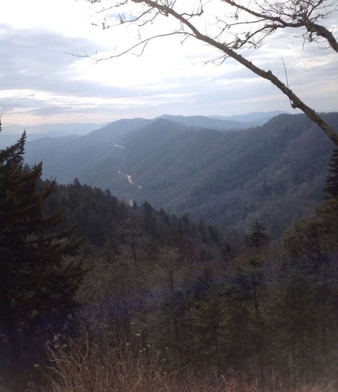 Mountain Gothic Aesthetic, Rural Appalachia Aesthetic, Appalachian Mountains Creepy, Smokey Mountains Aesthetic, Tennessee Gothic, Appalachian Mountains Aesthetic, Virginia Gothic, Appalachian Gothic Aesthetic, Pennsylvania Gothic