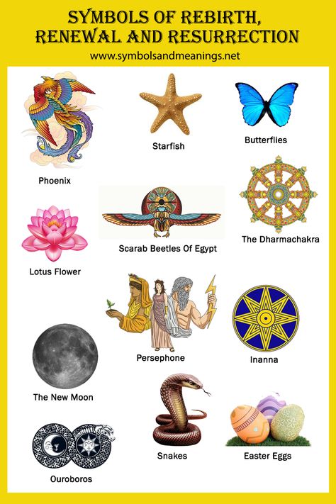 Inevitably, many symbols emerged to represent rebirth, reincarnation and transformation of life within cultures around the world. But what are the symbols of rebirth? In this post, we will delve into this very subject and aid you on your journey of knowledge. Dionysus Art, Rebirth Tattoos, Rebirth Symbol, Snake Symbolism, Sticker Branding, Rebirth Tattoo, History Of Witchcraft, Serpent Art, Painting Fire