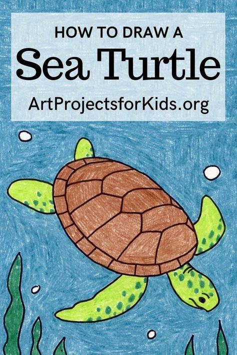 Draw A Sea Turtle, Under The Sea Drawings, Under The Sea Background, Sea Turtle Drawing, Kindergarten Drawing, Turtle Coloring, Sea Turtle Painting, Sea Drawing, Turtle Coloring Pages