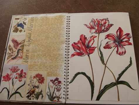 Textiles Flowers Sketchbook, Flower Sketchbook Pages, Floral Sketchbook Ideas, Gcse Flowers Sketchbook, Flowers Gcse Art Sketchbook, Natural Forms Textiles Sketchbook Pages, Artist Research Page Gcse Flowers, Sketbook Pages, Nature A Level Art