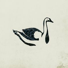 Black Swan Song, Black Swan Tattoo, Ballet Tattoos, Swan Drawing, Lake Tattoo, Swan Tattoo, Song Art, Swans Art, Swan Song