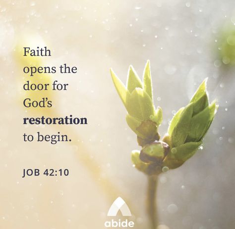 Job 42 10, Verses From Bible, Spiritual Growth Quotes, Adorable Quotes, Devotional Reading, Bible Study Verses, Awesome God, Biblical Verses, Prayer Verses